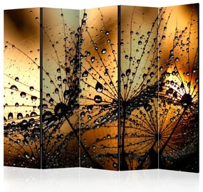 Artgeist Paraván - Dandelions in the Rain II [Room Dividers]