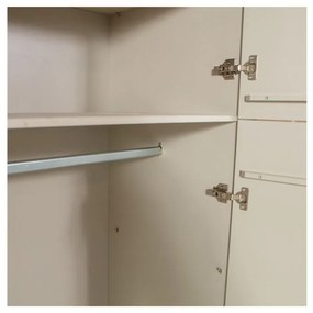 Svetlosivá šatníková skriňa z borovicového dreva 90x210 cm Mees – Basiclabel
