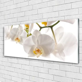 Obraz plexi Orchidea kvety príroda 125x50 cm