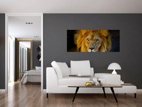 Obraz - Portrét leva (120x50 cm)