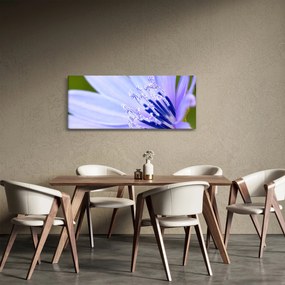 Obraz - kvet (120x50 cm)
