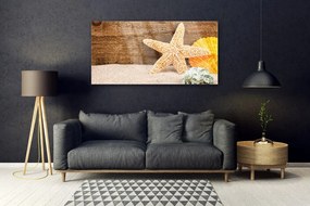 Obraz plexi Piesok hviezdica umenie 120x60 cm