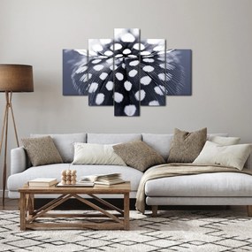 Obraz - Pierko (150x105 cm)