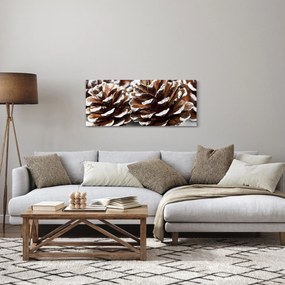 Obraz - Šišky (120x50 cm)