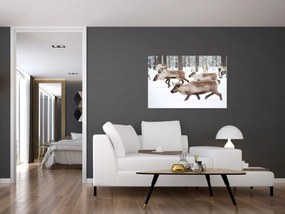 Obraz - Soby (90x60 cm)