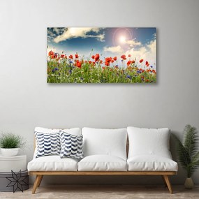 Obraz Canvas Lúka kvety slnko príroda 120x60 cm