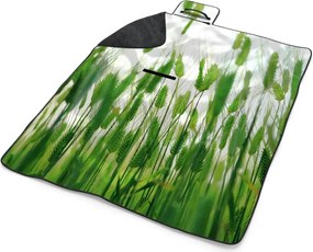 Sablio Plážová deka Klasy: 200x140 cm