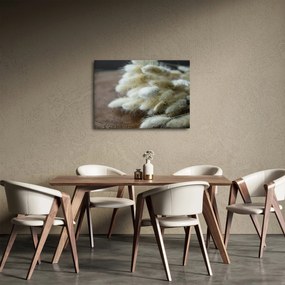 Obraz - Zajačí chvostík (70x50 cm)