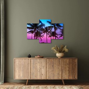 Obraz - Palmy v Miami (90x60 cm)
