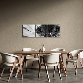 Obraz - Kvetina v čiernobielej (s hodinami) (90x30 cm)