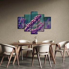 Obraz fialovej kvetiny (150x105 cm)
