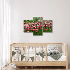 Obraz tulipánov (90x60 cm)