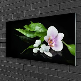Obraz na skle Kvet kamene lístie 140x70 cm