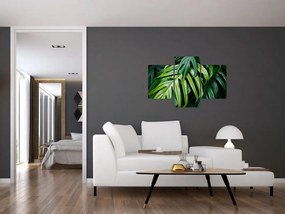 Obraz - Tropické listy (90x60 cm)