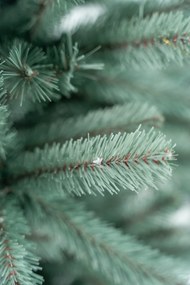 Limpol Jedľa Renáta silver 180 cm