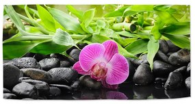 Sablio Uterák Ružová orchidea - 50x100 cm