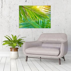 Sklenený obraz - Palmové listy (70x50 cm)
