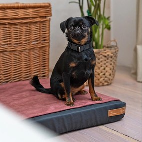 Čierny ortopedický matrac pre psa 70x60 cm Ori L – Rexproduct