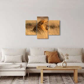 Obraz - Národný park Etosha (90x60 cm)