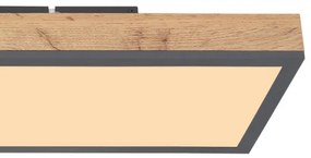 Globo 416080WD4 - LED Stropné svietidlo DORO LED/24W/230V