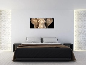 Obraz - Slon africký (120x50 cm)