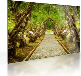 Sklenený obraz - Živý tunel z plumérií (70x50 cm)