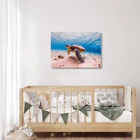 Sklenený obraz korytnačky v oceáne (70x50 cm)