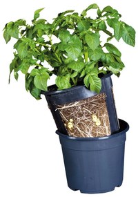 Kvetináč na zemiaky Esschert Design, ø 30,2 cm