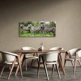 Obraz so zebrami (120x50 cm)