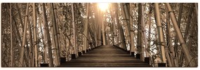 Obraz na plátne - Drevená promenáda v bambusovom lese - panoráma 5172FA (105x35 cm)