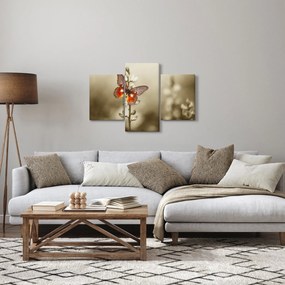 Obraz motýľa (90x60 cm)