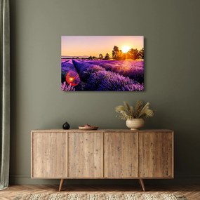 Obraz levanduľového poľa (90x60 cm)