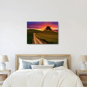 Sklenený obraz poľa pri západe slnka (70x50 cm)