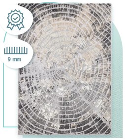 Koberec Aires Almagro