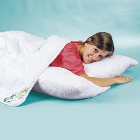 Vetro plus Set prikrývky a vankúše Natur Line - Aloe Vera, Calme 140x200 cm 70x90 cm
