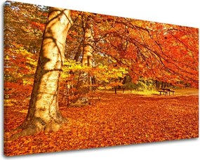 Obraz na stenu STROMY ST005E11