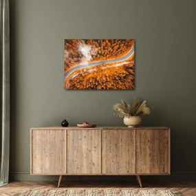 Obraz - Horská cesta (70x50 cm)