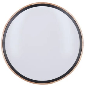 Solight WO8005 - LED Stm. svietidlo IRON OAK LED/48W/230V 3000-6500K pr. 40 cm+DO