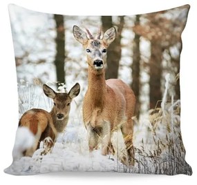 Prehoz na posteľ - Lucky 240/220