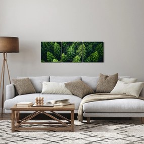 Obraz - Les (s hodinami) (90x30 cm)