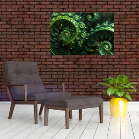 Obraz - Špirály (90x60 cm)