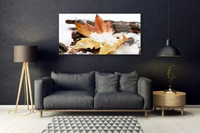 Obraz plexi List les jeseň príroda 120x60 cm