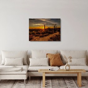 Sklenený obraz - Koniec dňa v arizonskej púšti (70x50 cm)