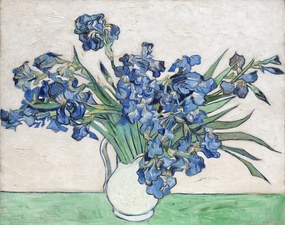 Obrazová reprodukcia Irises, 1890, Vincent van Gogh