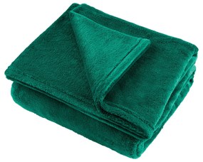 Teesa TSA8902 Deka Microplush 200x220 cm, zelená