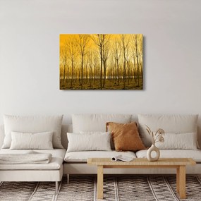 Obraz - Plantáž stromov (90x60 cm)