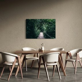 Obraz - Cesta lesom (90x60 cm)