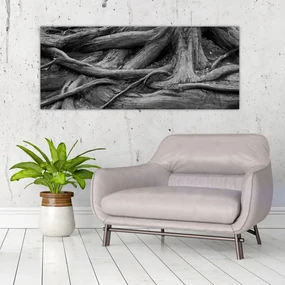 Obraz - Korene stromu (120x50 cm)