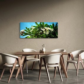 Obraz - Plumeria (120x50 cm)
