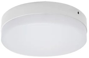 STRÜHM Prisadené stropné svietidlo ROBIN LED C 24W Neutral White 3088